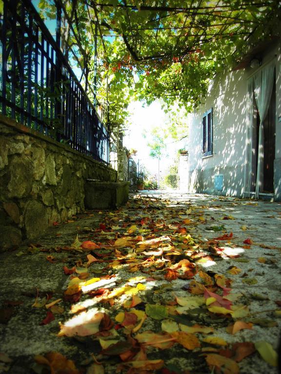 Semproniano Guest House Il Borgo Di Sempronio מראה חיצוני תמונה